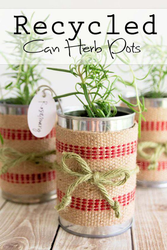 recycled can herb pot